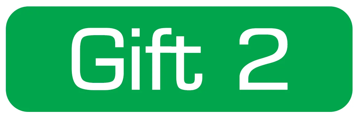 gift2